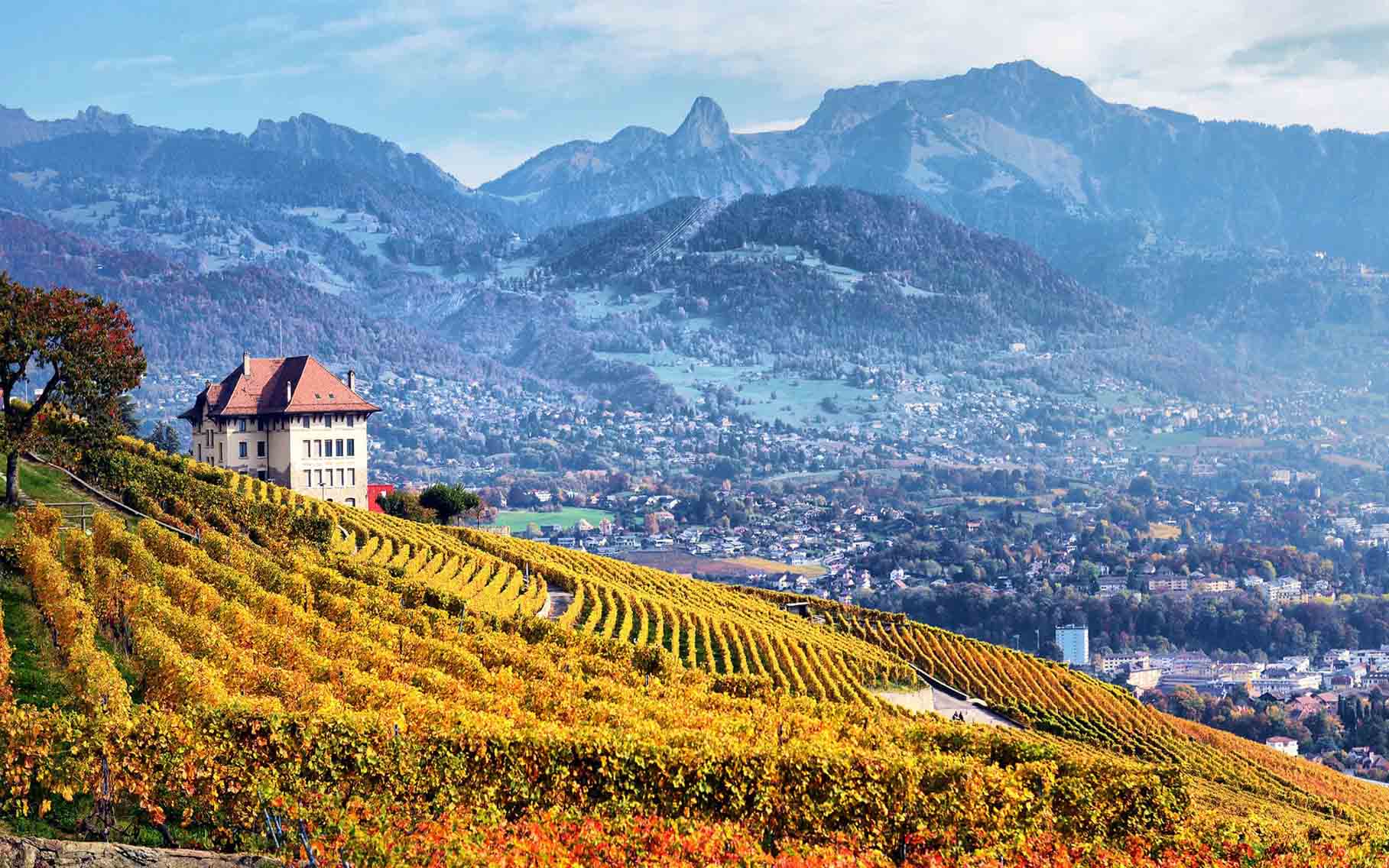 Steuerliche Dienstleistungen